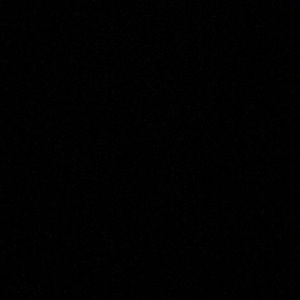 Meet your Posher, Daisha